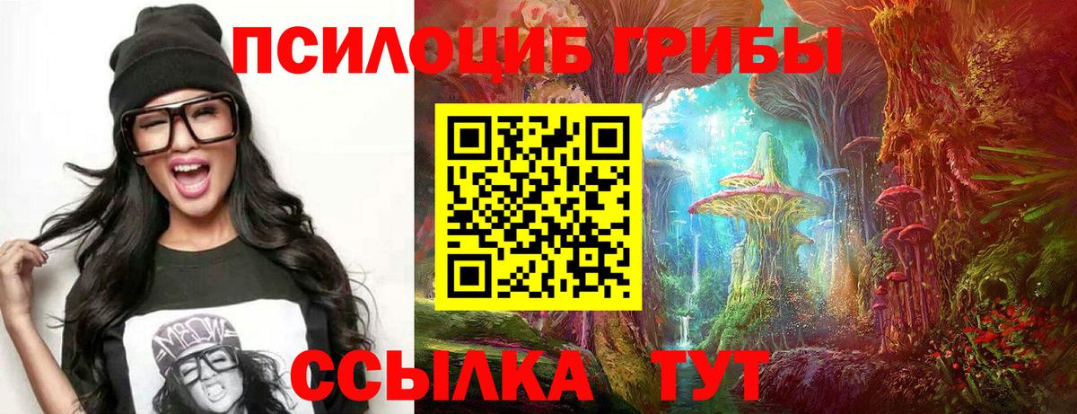 Псилоцибиновые грибы GOLDEN TEACHER Новосибирск